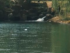 -长春公园(普阳街道)