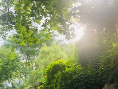-静安公园(静安寺街道)