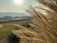 -汉长安城未央宫国家考古遗址公园