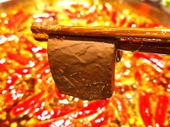 -谭鸭血老火锅(漳州路店)