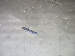 -石老人观光园