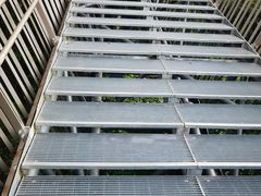 -福道