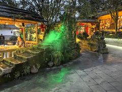 -青城甲(青城山店)