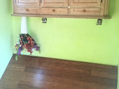 -金山农民画村-枫泾波兰倒置屋