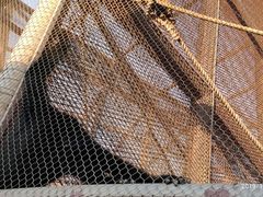 -石排湾郊野公园