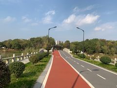 -八大山人梅湖景区