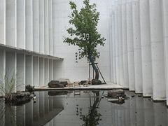 -中国宣纸文化园