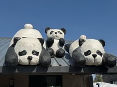 -哈拉新村