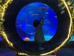 -沈阳海洋探索中心