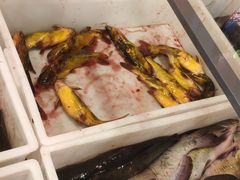 -江湖水乡铁锅炖魚(周庄嘉园店)