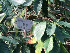 -北京植物园-展览温室