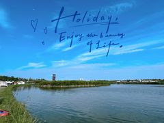 -春花秋色城市公园