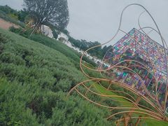 -紫颐香薰山谷景区