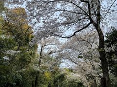 -宝界山林公园
