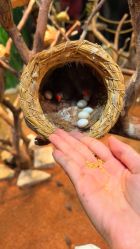 -Zoolung Zoolung动物主题公园(海信广场店)