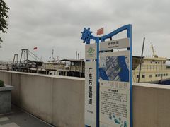 -大湾区中央湿地公园-十九涌