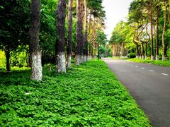 -黑龙江省森林植物园