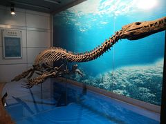-自贡恐龙博物馆