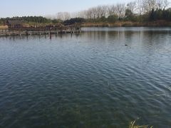 -溱湖国家湿地公园