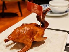 -侨美食家·41年地道粤菜(珠江新城店)