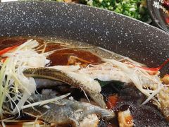 -熊猫家新派川菜(百里一·龙兴集店)
