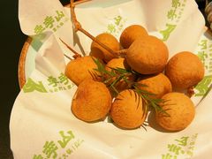 -季季山·云南野生菌火锅(上海首店)