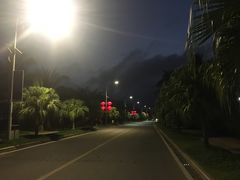 -三亚亚龙湾金棕榈度假酒店