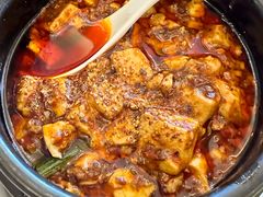 -陈麻婆豆腐总店