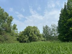 -溱湖国家湿地公园