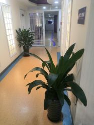 -安徽合肥韩美整形外科医院