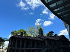 -香港大学