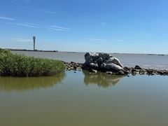 -吴淞炮台湾湿地森林公园烧烤区
