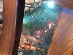 -鱼满舱·鲜活海鲜·正宗鲁菜