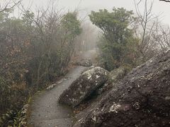 -江西阳明山国家森林公园