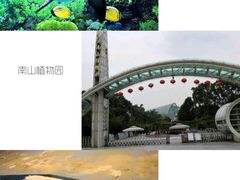 -重庆欢乐海底世界