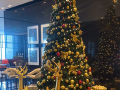 -长沙尼依格罗酒店