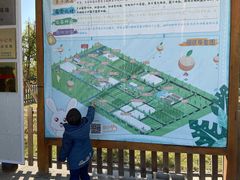 -前小桔亲子创意农场·草莓采摘·露营烧烤