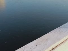 -迎泽公园