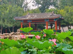 -宣武艺园