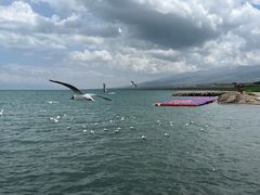 -青海湖国家重点风景名胜区