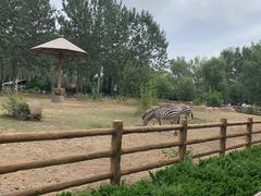 -大连森林动物园