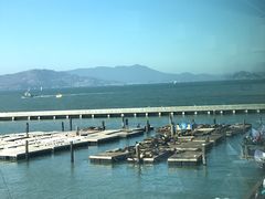 -Swiss Louis Italian & Seafood Restaurant