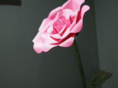 -OOAK设计师品牌概念店(新乐路店)