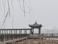-莲花池公园
