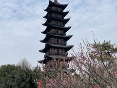 -上海方塔园