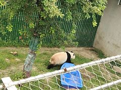 -沈阳森林动物园
