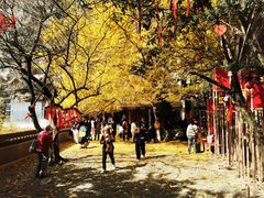 -大慈岩风景区