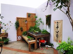 -顺峰山公园