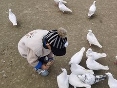 -南通洲际绿博园