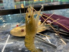 -SHRIMP CLUB万东餐饮钓虾·清吧